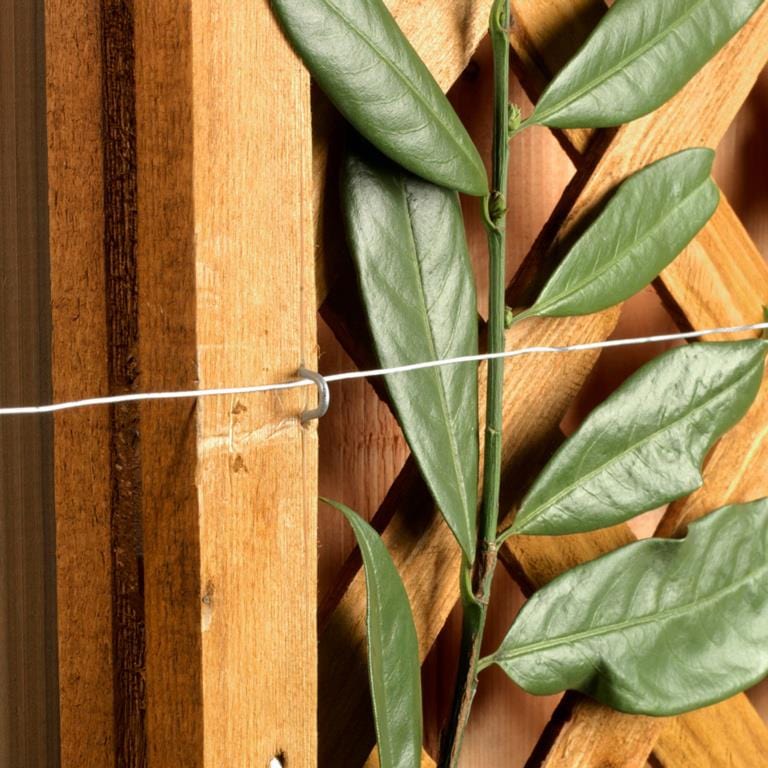 Galvanised Wire 0.9mm x 50m | Ambassador Service Item Ambassador 900871