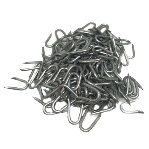Fence Staple Presser Point 1/2" - 13mm Galvanised 100grams (Approx. 230)