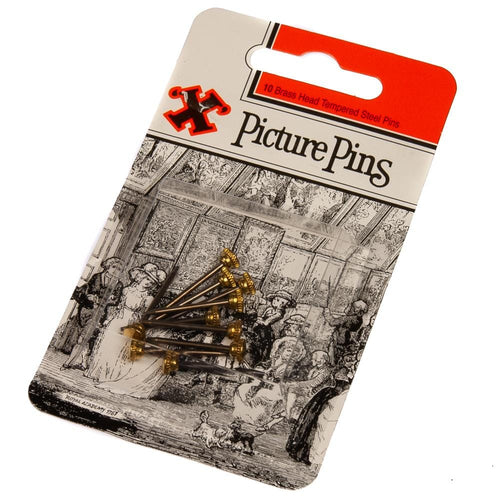 Brass Head Picture Pins Pack of 10 | X