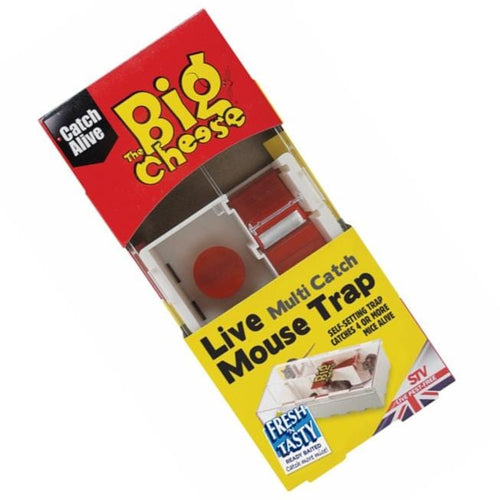 Multi-Catch Mouse Trap The Big Cheese